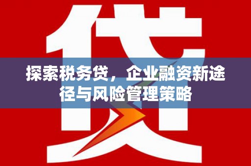 隆化探索税务贷，企业融资新途径与风险管理策略