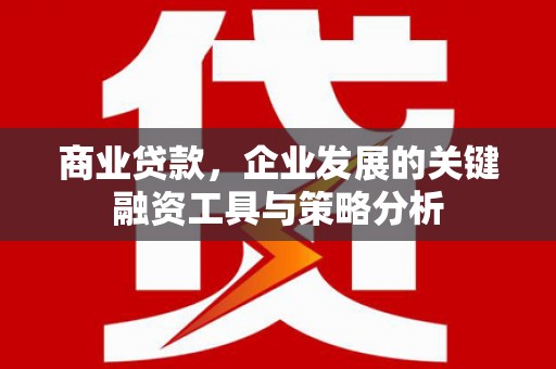 隆化商业贷款，企业发展的关键融资工具与策略分析