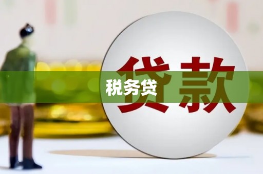隆化税务贷