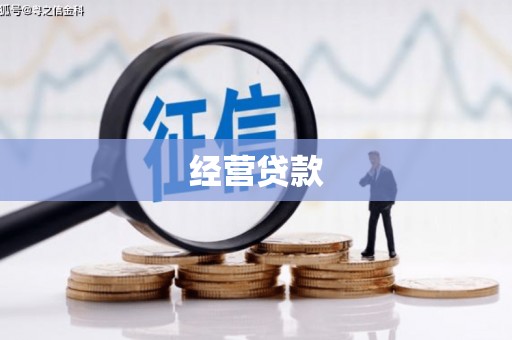 隆化经营贷款