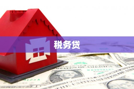 隆化税务贷