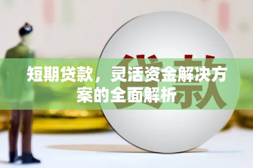 隆化短期贷款，灵活资金解决方案的全面解析