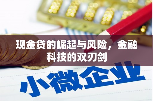 隆化现金贷的崛起与风险，金融科技的双刃剑