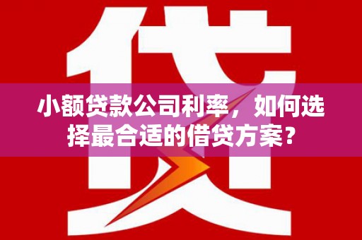 隆化小额贷款公司利率，如何选择最合适的借贷方案？