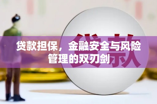 隆化贷款担保，金融安全与风险管理的双刃剑