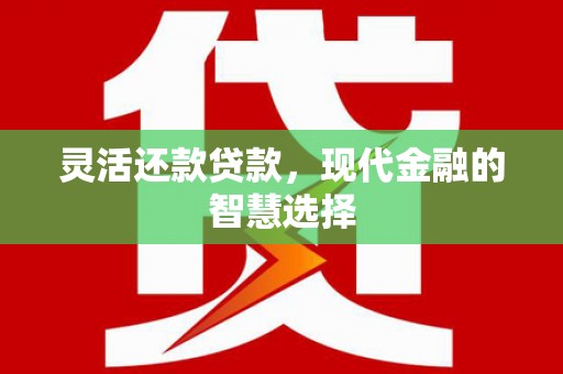 隆化灵活还款贷款，现代金融的智慧选择