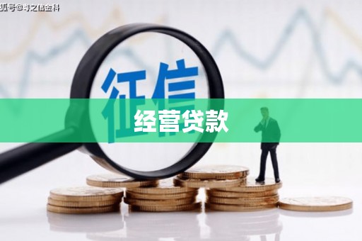 隆化经营贷款