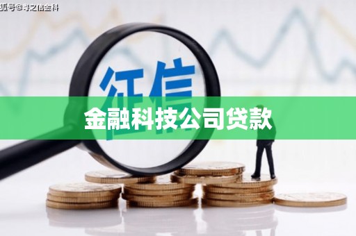 隆化金融科技公司贷款