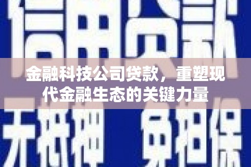 隆化金融科技公司贷款，重塑现代金融生态的关键力量