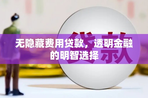 隆化无隐藏费用贷款，透明金融的明智选择