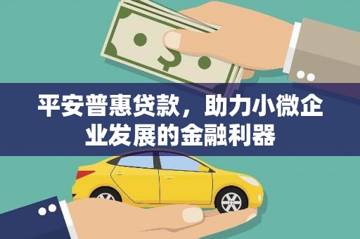 隆化平安普惠贷款，助力小微企业发展的金融利器