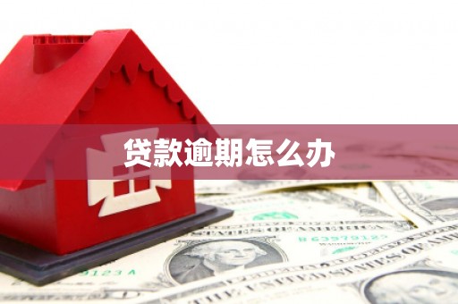 隆化贷款逾期怎么办