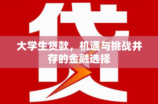 隆化大学生贷款，机遇与挑战并存的金融选择