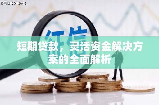 隆化短期贷款，灵活资金解决方案的全面解析