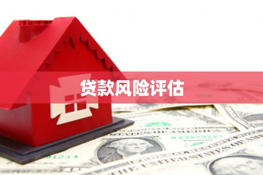 隆化贷款风险评估