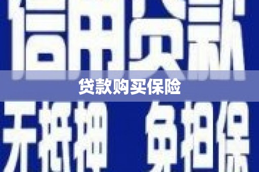 隆化贷款购买保险