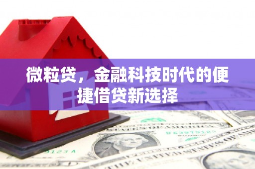 隆化微粒贷，金融科技时代的便捷借贷新选择