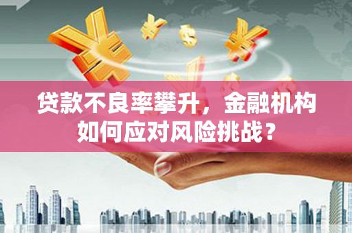 隆化贷款不良率攀升，金融机构如何应对风险挑战？