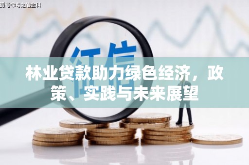 隆化林业贷款助力绿色经济，政策、实践与未来展望