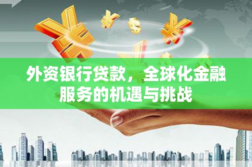 隆化外资银行贷款，全球化金融服务的机遇与挑战