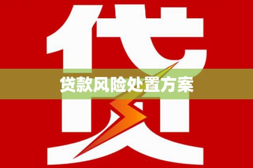 隆化贷款风险处置方案