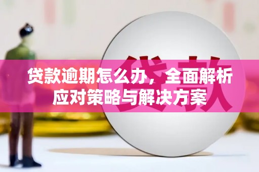 隆化贷款逾期怎么办，全面解析应对策略与解决方案