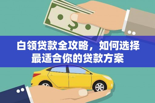 隆化白领贷款全攻略，如何选择最适合你的贷款方案